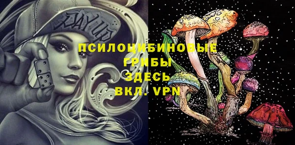 амф Нефтекумск