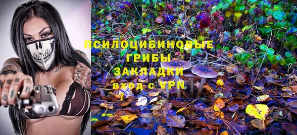 мет Нея