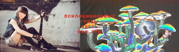 круглые Нефтегорск