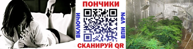 Бошки марихуана гибрид  Купить  Рыбное 